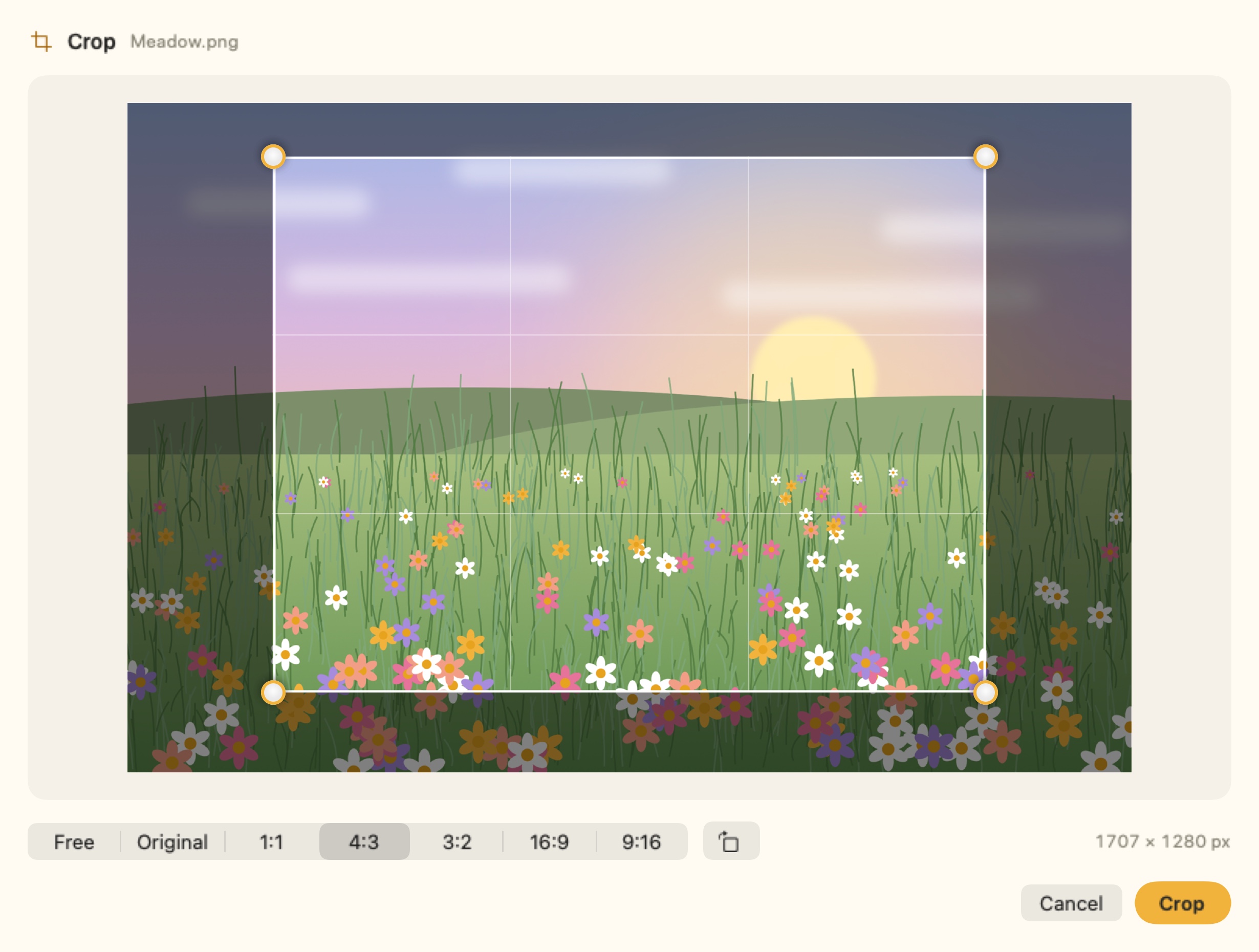 Crop window with a summer meadow and a 4:3 frame