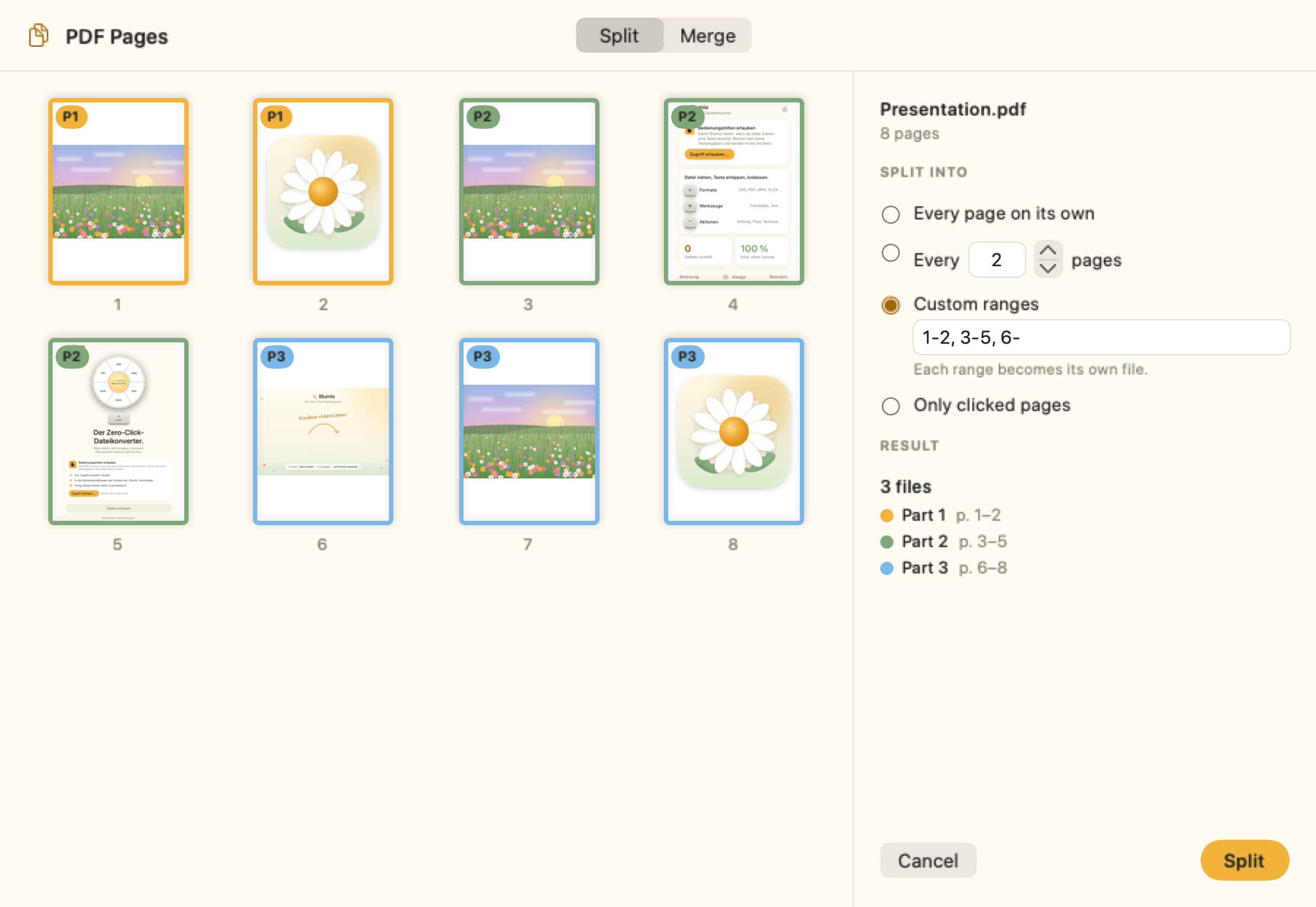 PDF window with eight pages, colored into three parts